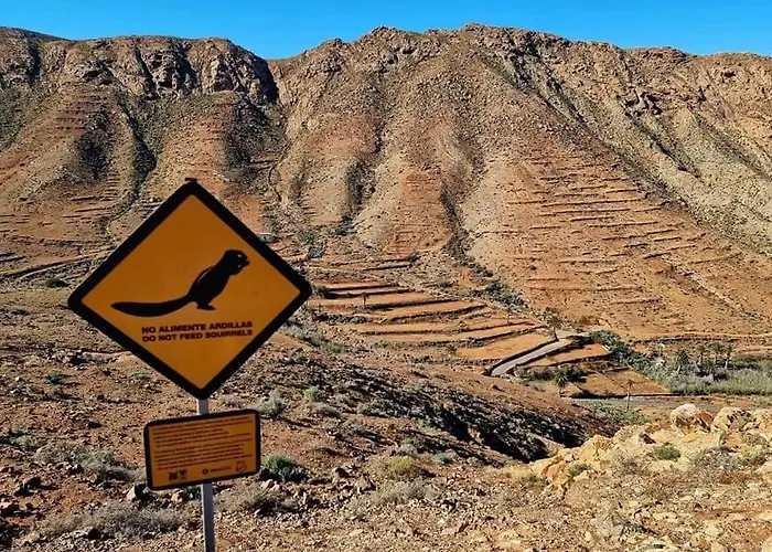 Διαμέρισμα Oasis Tamarindo 1 - Casa Rosa - 2 Climatisees Κοραλέχο